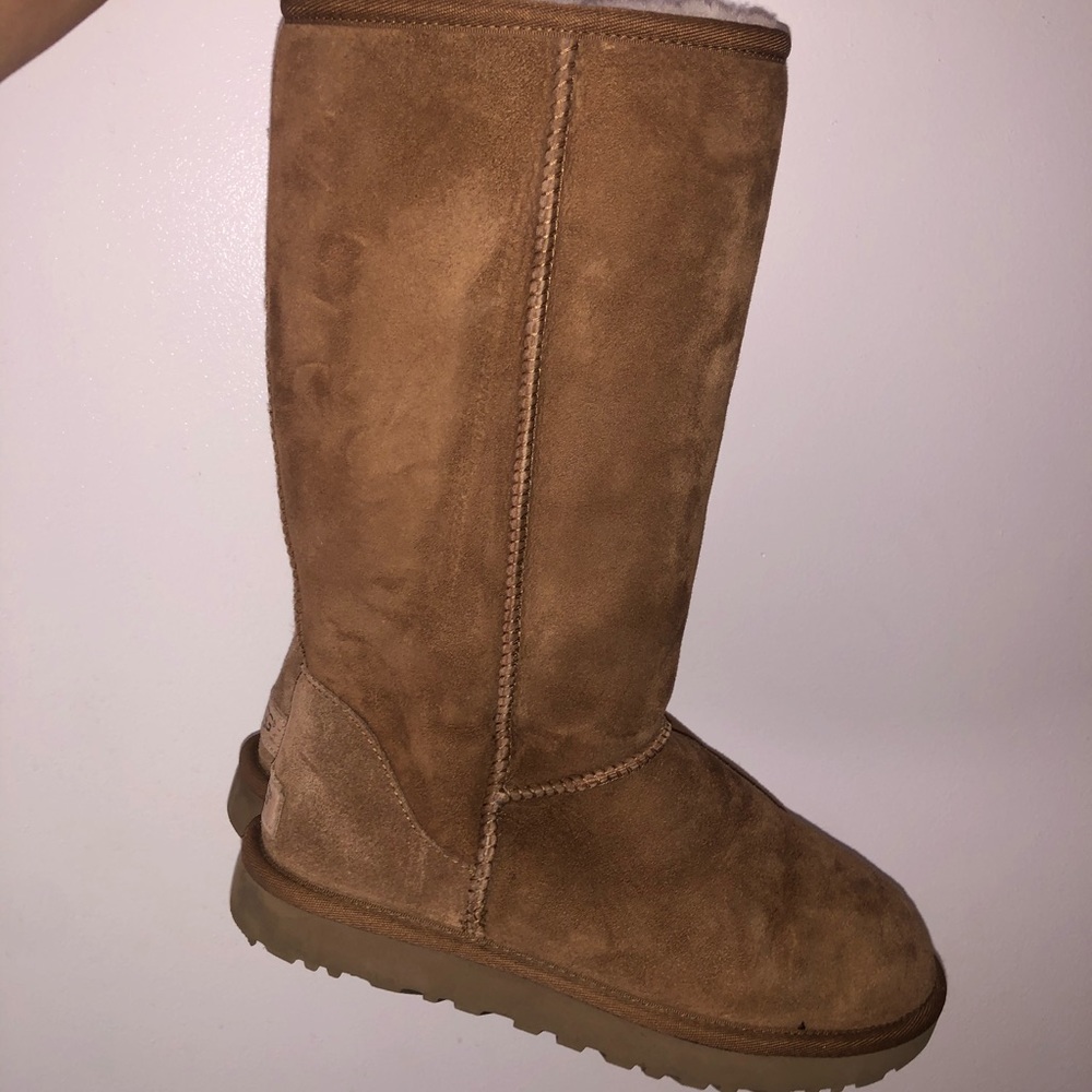 authentic classic tall chestnut uggs